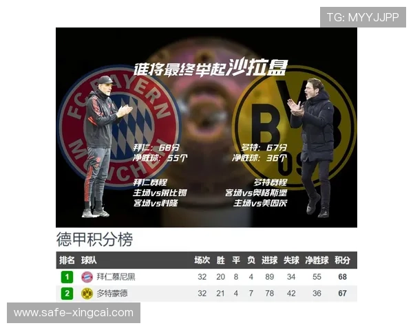 德甲排名风云再起拜仁多特争冠形势全面解析